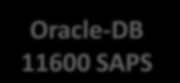 30 6000 SAPS Oracle-DB 11600 SAPS