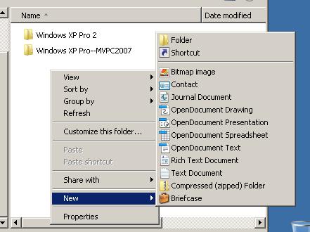 Click on "Folder" in the pop-up submenu. A new folder called "New folder" will appear. Type in a logical name for the cloned virtual machine.