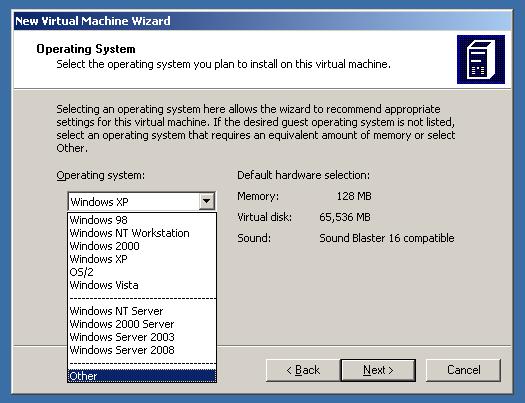 system for the cloned virtual