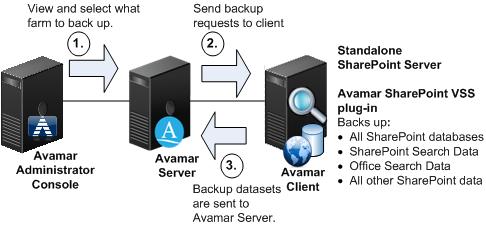 Backup Backup Backup workflow for standalone farms To perform GLR, you must have previously backed up the entire SharePoint farm with a full farm backup.