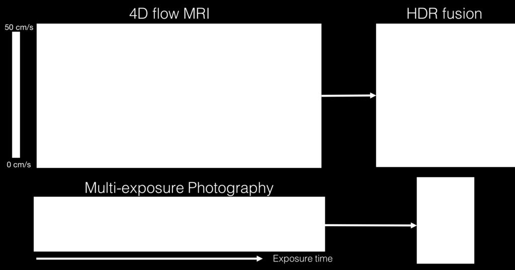 (white arrows). This problem is similar to multi-exposure photography, where short and long exposures only offer good resolution of bright and dark areas respectively.