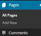 PAGES: HOMEPAGE, ABOUT, BLOG HOMEPAGE When you click on Pages it will bring up a menu of all published pages.