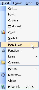 Choose Insert Page Break from the menu bar. MOUNT MERU UNIVERSITY A page break, indicated by a dashed line, is inserted into the worksheet.