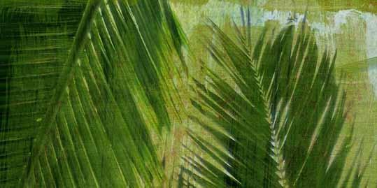 Palms Triptych