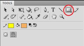 12. Select the Rectangle Tool from the tool panel. 13.