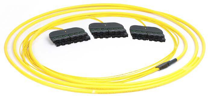 Preterminated Cabled Modules NG4access cabled modules will save operators significant time and cost in their cable deployments.