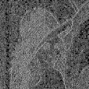 2 (b) is the binary image f V after filtering. If zoom in, it can be observed that most 8 8 block boundary introduced by compression as well as the edges in image content has been detected.