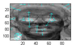 Keypoint detecting by PCA-SIFT using a sample of face image in ORL database Fig. 5. Test image 1.pgm using PCA-SIFT, 46