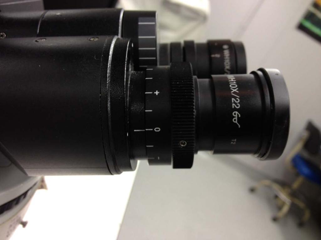 General Prep - Adjust the Eyepieces Adjust the spacing to accommodate your interpupillary distance.