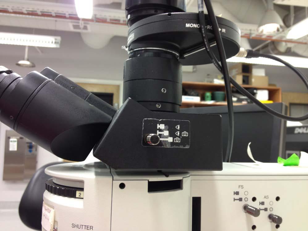 General Prep Set the beamsplitter For viewing with the eyepieces position the slider all the way in.