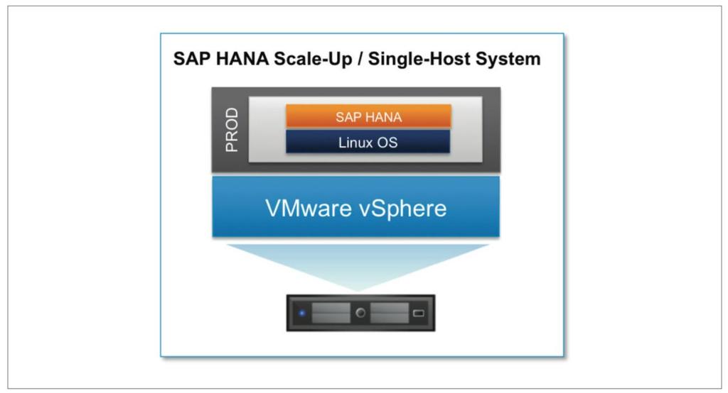 Figure 4: Scale Up Single Host System In other words, an SAP HANA Scale-Out configuration connects several SAP HANA instances together into one large