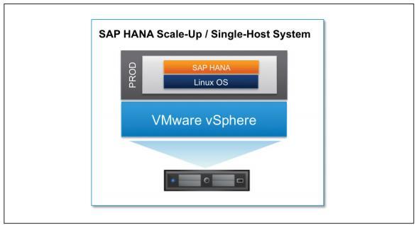 Figure 7: SAP HANA Single Host System A variation of the scale up topology is to have multiple SAP HANA scale up virtual machines in one or more TDI hosts.