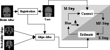 Fig. 1. The structure of the EM-MF-LP Algorithm procedure [12, 13].
