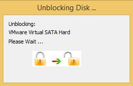 Upon confirmation, the disk blocking process will start. During this process, any open Windows accessing this disk will be closed as the disk changes status.