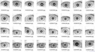 1.3.3Feature extraction and Encoding This is the most key component of an iris recognition system and determines the system s performance to a large extent.