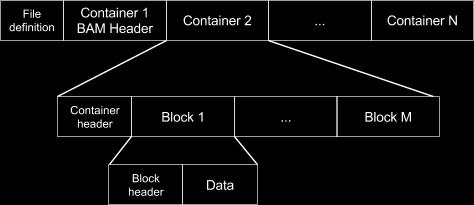 Pic.2 The BAM header is stored in the first container. Each container starts with a container header followed by one or more blocks.