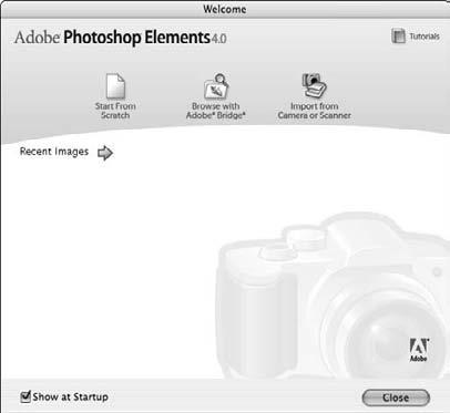Install Adobe Photoshop Elements Install Adobe Photoshop Elements 1. Quit all open applications and then insert the Adobe Photoshop Elements installation CD into your disc drive. 2.