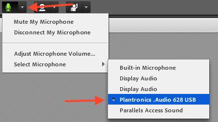 Starting Your Audio To start your audio, click on the microphone icon. It will change from white (OFF) to green (ON).