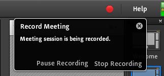 Meeting. A dialogue box will open to let you give your recording a name.