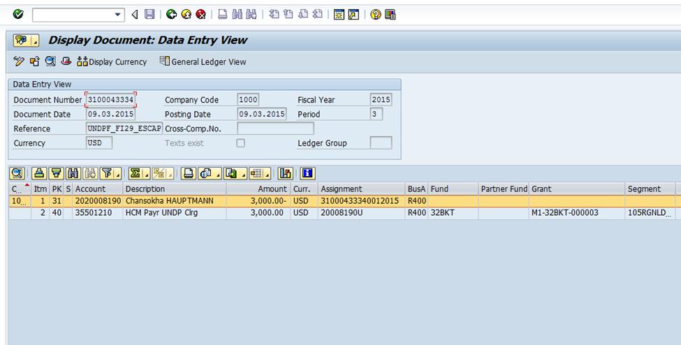 4. The screenshot below shows the Data entry view once the document is