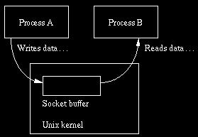 File Types (3) UNIX domain socket Created by socket() Local to a particular