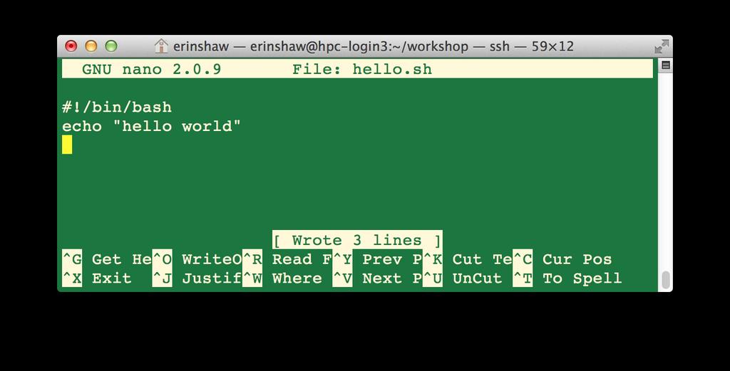 Shell Scripting Now that you can edit, let s create a script! Create a bash script named hello.sh Open nano (nano hello.