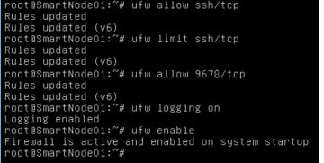 with the command gpasswd -a smartadmin sudo 9. Let us install the firewall with apt-get install ufw 10.