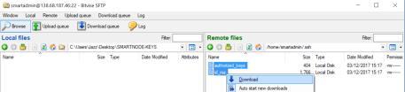 ssh folder select both files and copy both files.