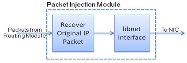 Packet Injection Module Once a ViNe packet is routed and reaches the final VR, the packet needs to be delivered to the destination ViNe node. This is exactly the opposite of the previous scenario.