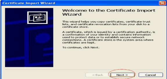 Click Next in order to import the certificate