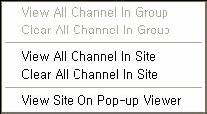 Viewing Remote Video Channels You can also use the View Video Tab or right-mouse-click on the specific site on Site Tree Bar.