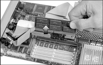 To remove the cache memory option 1. Slide out the component drawer. 2. Lift the cache memory straight up and out of its slot.