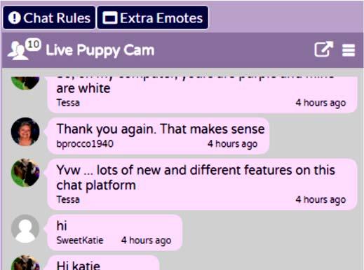 Getting Around in Chat The Chat window is located to the right side of the window in the LivePuppyCam