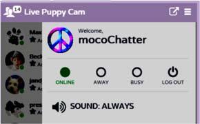 Minimal will turn sound off in chat itself, but can be heard if you are in a different window on your