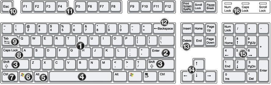 4 Space bar Moves cursor forward one space 5 Alt Keyboard shortcut key 6 Ctrl Stands for Control - important keyboard shortcut key 7 Windows Opens and closes the Start menu 8 Caps Lock This key will