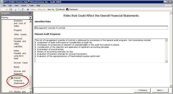 OVERALL FINANCIAL STATEMENT Overall Financial Statement In this window, you review the planned audit response to identified risks and make changes if applicable.