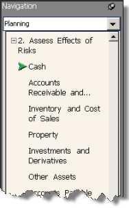 the risk. 2. The risks you identified appear in the Identified Risks area in the right pane.