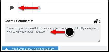 The assessment for the criterion is complete when you have selected a performance level and left a criterion-specific comment. In order to move on to the next criterion, 8. Click on the NEXT button.