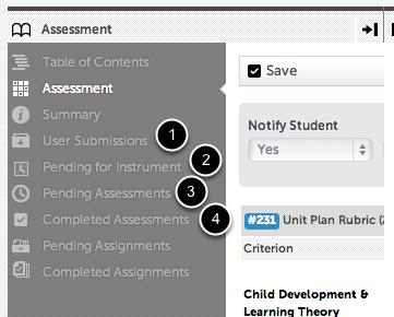 Step 7. Continue Assessing or Review Assessments You can continue to assess or re-assess submissions by using the icons to the left. For example, you can select to: 1.
