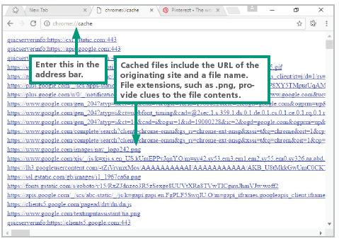 The information in a browser cache can be seen with browsers, such as Google Chrome, and used to see a listing of files in the browser cache and even retrieve them.