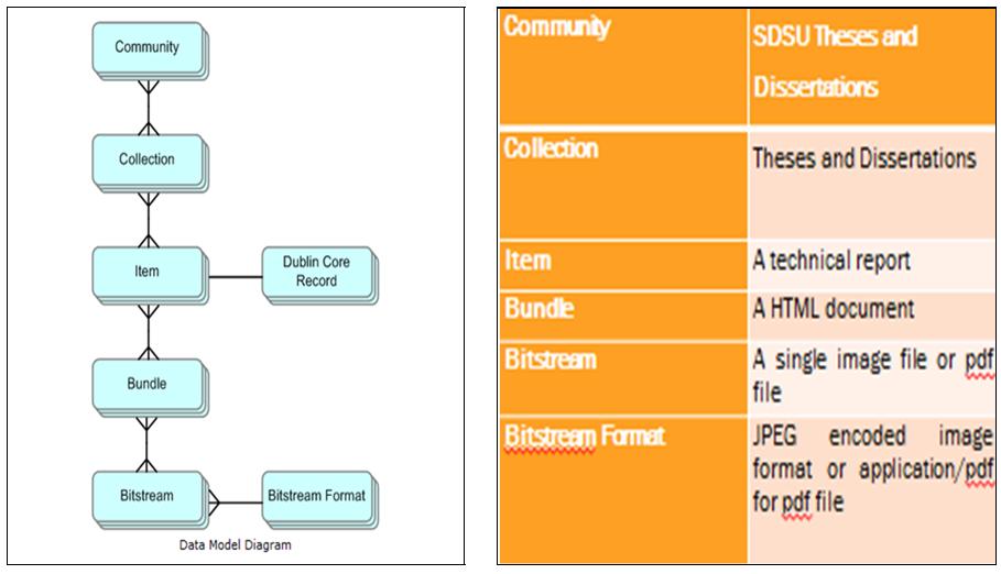 10 Figure 2.3. Pictorial representations of data hierarchy and a comparison with SDSU data hierarchy. Source: N.I.O Informatics, National Institute of Informatics, n.d. http://www.nii.ac.