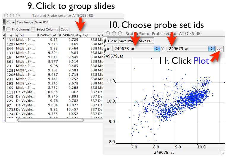Sort slides by experiment, and then plot the expression data.