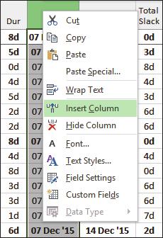 Ensure that the Entry Table is displayed by selecting View, Data group, Tables, Entry table. 3.