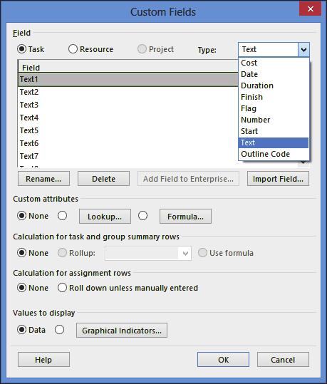 13.3 Custom Fields A Custom Field is an existing Microsoft Project field that may be: Renamed to suit your projects requirements, Tailored to display specific data in a specific format, Assigned a