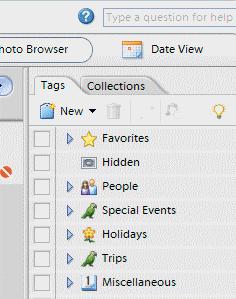 Create and Design Your Catalog You create major Categories (PSE has some default titles you may
