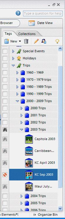 Photoshop Elements Organizer Section of My Personal Catalog Category is Trips. Subcategories are groups of years.