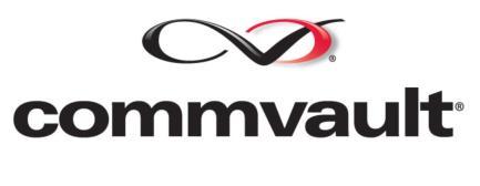 v10 VMware Partner