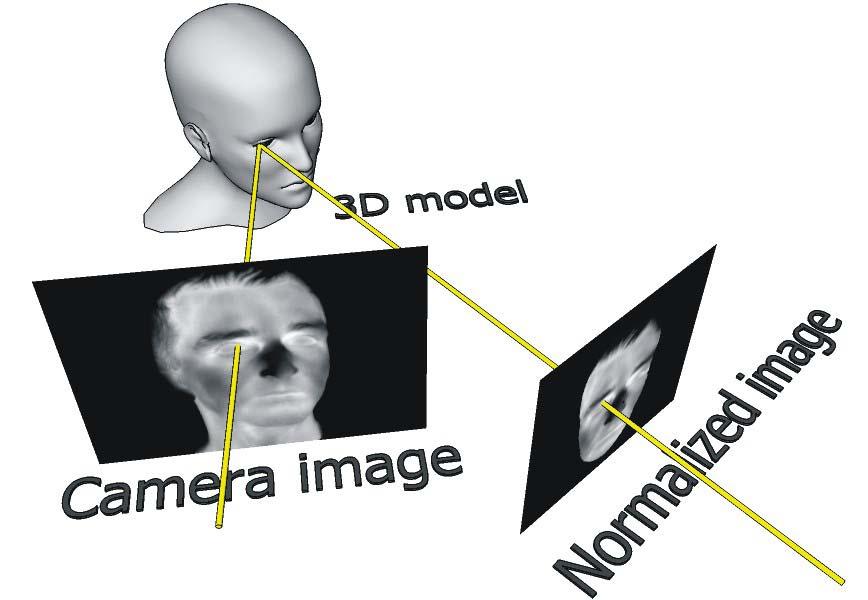 Figure 5: Original (camera) image geometric normalization by projecting texture to 3D model and re-projecting back to normalized image.