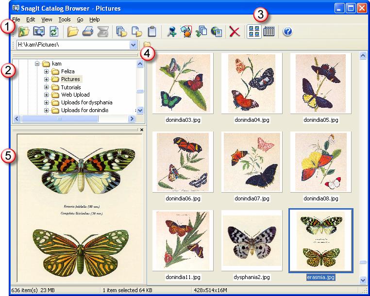 Getting Started Guide SnagIt Catalog Browser Overview SnagIt's Catalog Browser allows you to locate, view, and manage captures and multimedia files in thumbnail view.