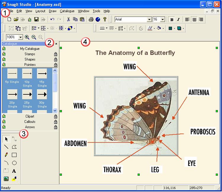 Getting Started Guide SnagIt SnagIt Studio SnagIt Studio provides true vector-based image markup of standard and custom shapes.
